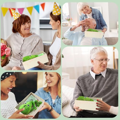WinnerWhy Gallbladder Plush Set Gall Surgery Recovery Gifts Include Gall Plush with Gallstones Stuffed and Gallbladder Get...