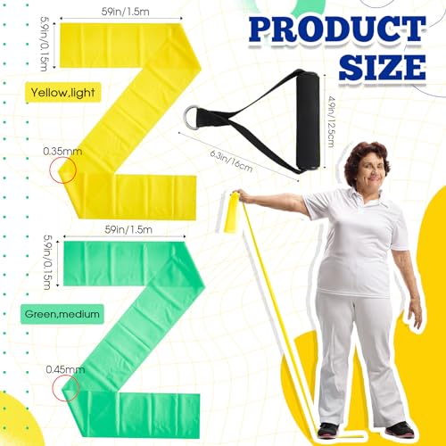 Relaxgiant 2 Pcs Resistance Band with Handles Chair Exercise Equipment for Seniors Physical Therapy Band Gifts for Elderly...