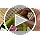 Project Cloud Trendy Fashion Sneakers for Women 2026 - Memory Foam and Non-Slip Comfortable Casual Ladies Shoes for Womens...