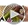 Project Cloud Trendy Fashion Sneakers for Women 2026 - Memory Foam and Non-Slip Comfortable Casual Ladies Shoes for Womens...