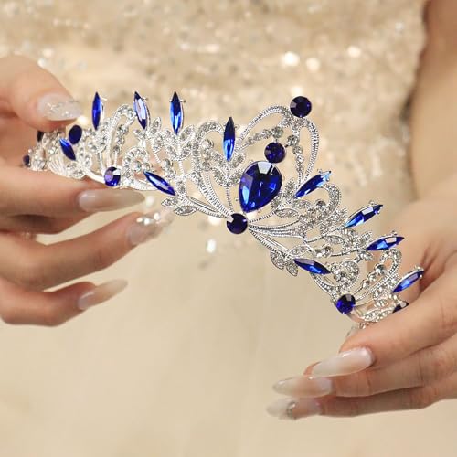 Rannyrena Silver Crystal Tiaras and Crowns for Women Sparkling Rhinestone Queen Crowns Princess Birthday Wedding Bridal Ha...