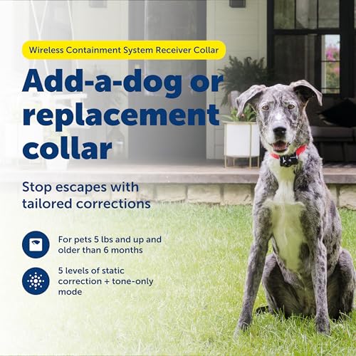 PetSafe Wireless Pet Containment System Receiver Collar - Battery-Operated & Waterproof - Adjustable Receiver Collar with ...