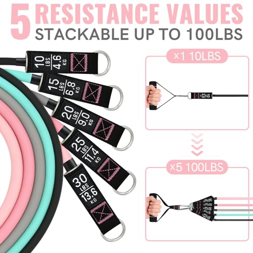 Aihoye Resistance Bands for Working Out, Exercise Bands with Handles, Stretch Bands for Exercise, Workout Bands with Door ...