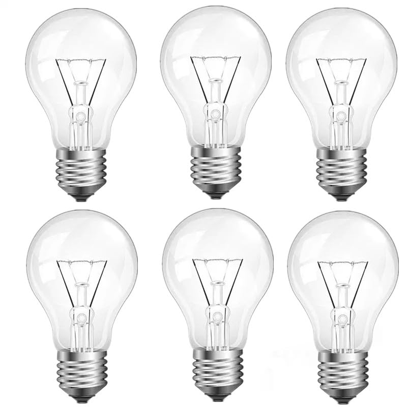 Hoimuv 100 Watt Incandescent Light Bulbs, A19 Clear Incandescent Rough Service Light Bulb,A19 100 WATT Incandescent Bulb Shatter Resistant Rough Service Light Bulb 100 WATTS A19 Shape (6)