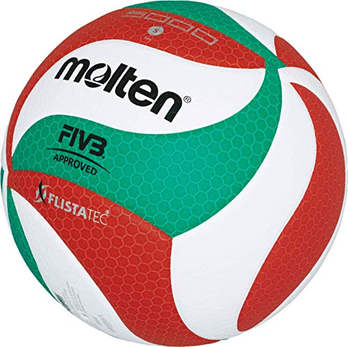 Molten Volley Ball