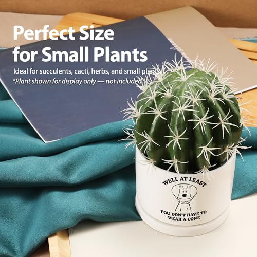 Well at Least You Don’t Have to Wear A Cone Recovery Gifts Ceramic Succulent Plant Pot with Tray Get Well Soon Gifts After...