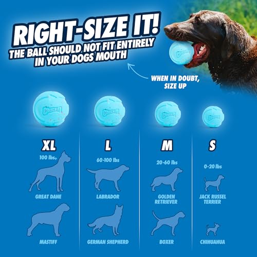 Chuckit! Rebounce Ball Dog Toy - Bouncy Fetch Balls for Dogs 20-60 lbs - Made from Durable Rubber - Outdoor Pet Toys - Siz...