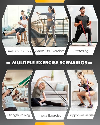 Equipro Resistance Bands, Exercise Bands, Resistance Bands for Working Out with Handles and Door Anchor, Workout Bands for...