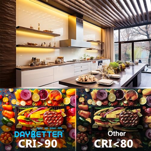 DAYBETTER COB LED Strip Lights, Tunable White(2700K-6500K) COB LED Lights with 3040 LEDs, 24V Adapter, RF Remote, Dimmable...