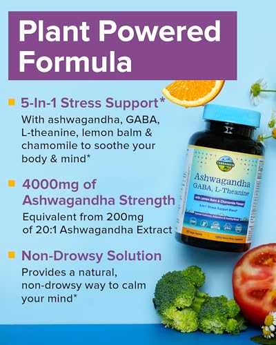 Terranics Ashwagandha L-Theanine Supplement for Stress Relief, Combined with GABA, Lemon Balm, Chamomile Flower Extract, N...