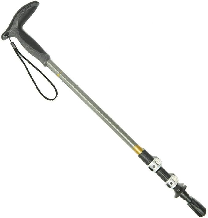 LEKI Wanderfreund Speedlock Trekking Pole