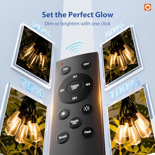 addlon 100FT LED Outdoor String Lights with Remote Waterproof Patio Lights with Shatterproof ST38 Replaceable Bulbs, Dimma...
