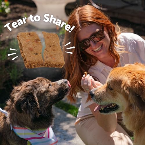 Wellness Rewarding Life Dog Treats, Training Treat, Grain Free, Soft Lamb & Salmon (6 Ounce Bag)