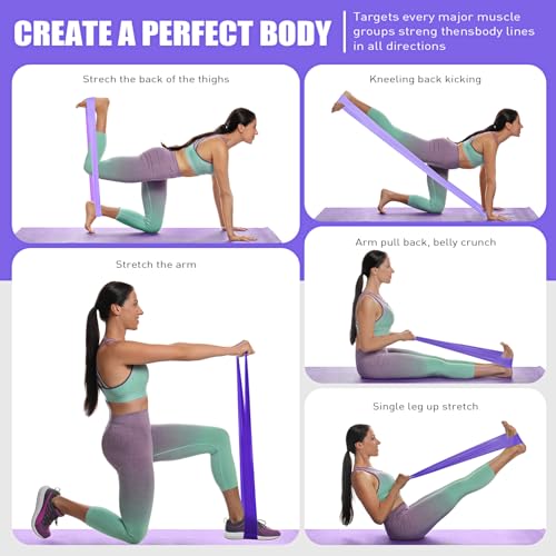 Resistance Bands, Exercise Bands, Physical Therapy Bands for Strength Training, Yoga, Pilates, Stretch Elastic Band with D...