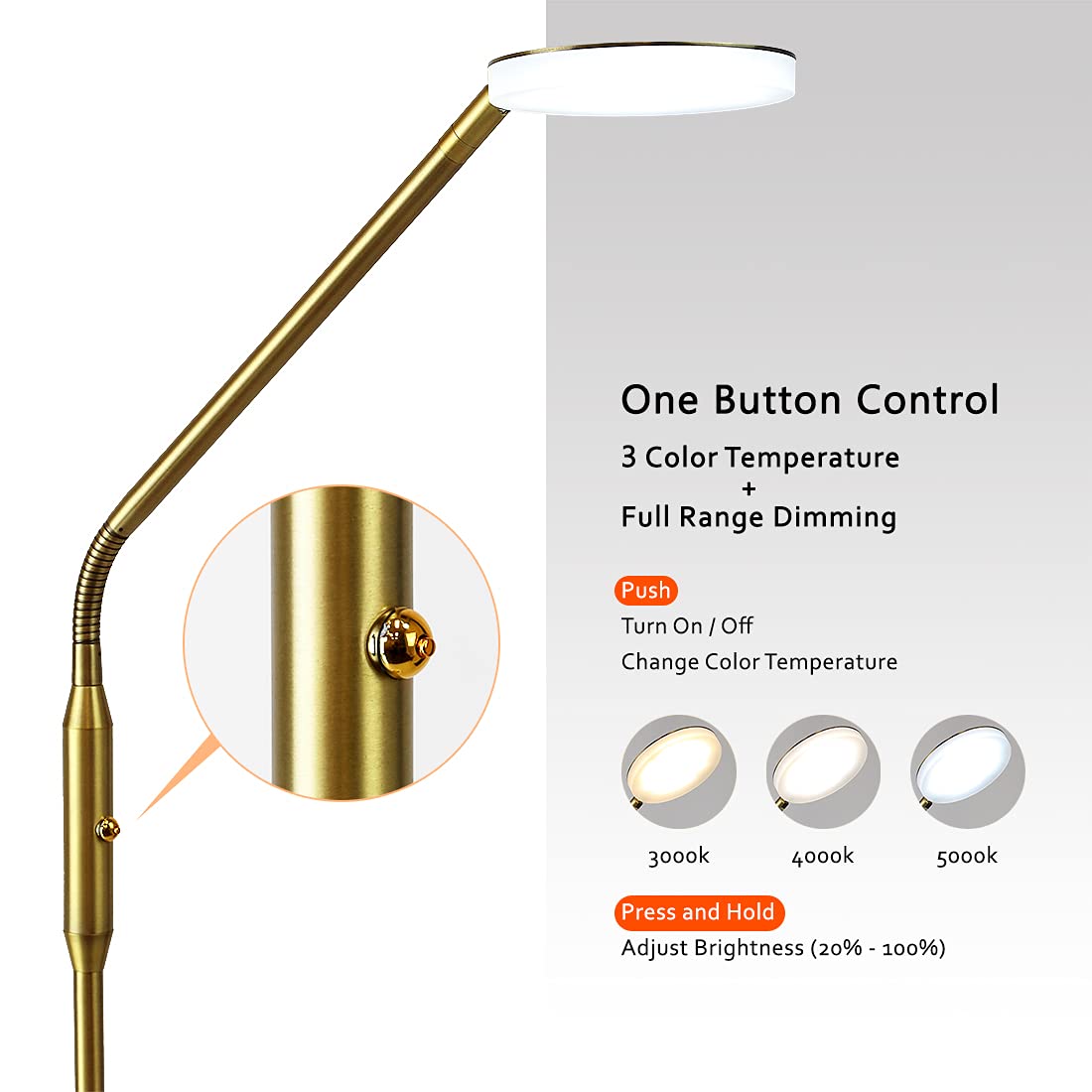 OBright Dimmable LED Floor Lamp, Adjustable Color Temperature, Antique Brass, Model OB-FL11D, 360° Flexible Gooseneck