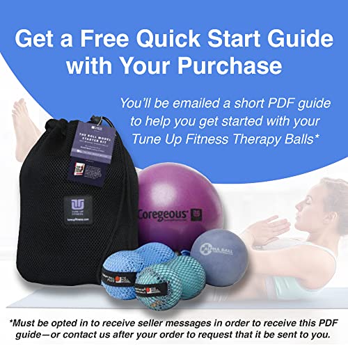 Tune Up Fitness – Therapy Ball PLUS Pair in Tote | Lacrosse Ball Upgrade - Massage Therapy Balls for Myofascial Release | ...