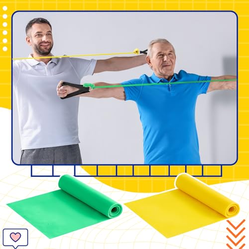 Relaxgiant 2 Pcs Resistance Band with Handles Chair Exercise Equipment for Seniors Physical Therapy Band Gifts for Elderly...