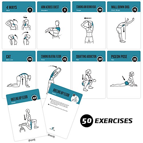 NewMe Fitness Stretching Workout Cards, Instructional Fitness Deck for Women & Men, Beginner Fitness Guide to Training Exe...