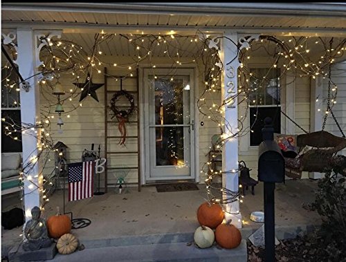 Zoic 500 Led Fairy String Lights, 100M (328Ft), Warm White, Pvc & Copper, 8 Modes, Model Dag004U
