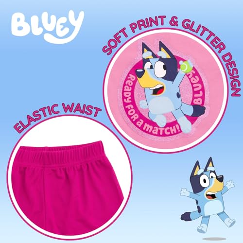 Bluey Girls T-Shirt and Mesh Shorts Outfit Set Toddler to Big Kid Sizes (2T - 10-12)
