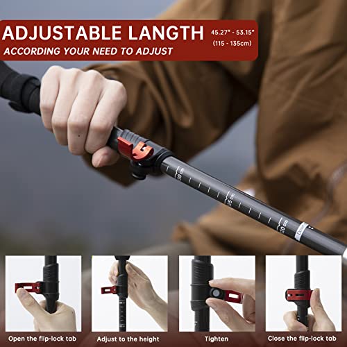 BISINNA Carbon Fiber Trekking Poles Collapsible Walking Sticks Hiking Folding Poles Quick Lock for Women and Men Hiking Mo...