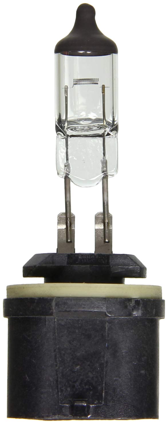 Wagner Lighting Bp880 Multi-Purpose Light Bulb, 1 Count, Glass, Assorted Color