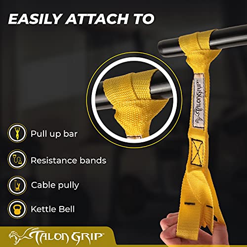Core Prodigy Talon Pull Up Grip Strength Straps - Nylon Finger and Thumb Loops for Grip Training, Rock Climbing, Hand and ...