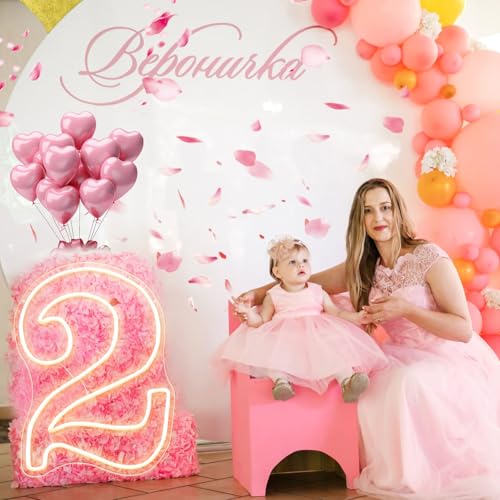 RumonZS Number 2 Light Up LED Neon Sign Backdrop 15.7" Birthday Party Decor Warm White Number One Light Up Sign USB Powere...