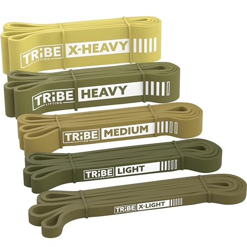 Long Resistance Bands for Working Out Men and Women - Set of 5 Pull-Up Bands, Rubber Handles and Door Anchor - Workout Ban...