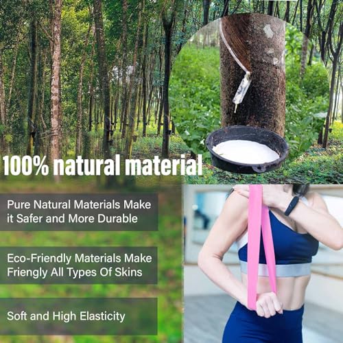 FTTYONE Set of 5 Resistance Bands for Working Out, Different Levels Elastic Band for Home Gym Long Exercise Workout, with ...