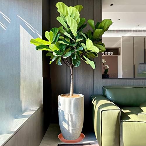 6 Pack of 10 inch Plant Saucer, Heavy Duty Plastic Plant Saucer 10" Round, Plant Tray for Pots, Plant Saucers for Indoors, Plant Trays for Planter 8"/9"/10" (10 inch, Terracotta)