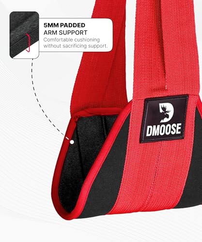 DMoose Fitness Hanging Ab Straps for Pull Up Bar & Core Strength Training - Soft Padded Exercise Straps for Ab Swing & Leg...