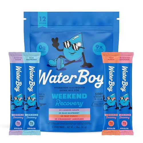 Waterboy Weekend Recovery Sample Pack | 3,200mg Electrolyte Powder Packets | Ginger + L-Theanine + Vitamins | No Sugar, Al...