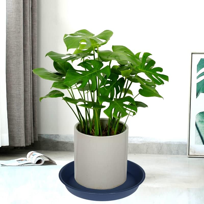 4 Pack of 14 inch Plant Saucers Bird Bath Bow Round, Plastic Plant Saucer Tray for Pots, White Planters for Indoor Plants, Plant Trays for Planter 12-15" (14", Blue)