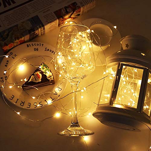 Baisico Waterproof Led String Lights, 2 Pack 20Ft, 60 Warm White Copper Wire Fairy Lights