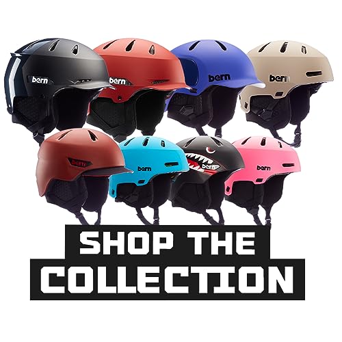 Zeiss B-1 Goggle