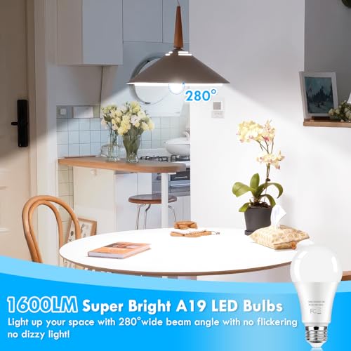 LED Light Bulbs 100 Watt Equivalent 1600 Lumens, A19 14W Super Bright Daylight White 5000K LED Bulbs, Standard E26 Medium ...