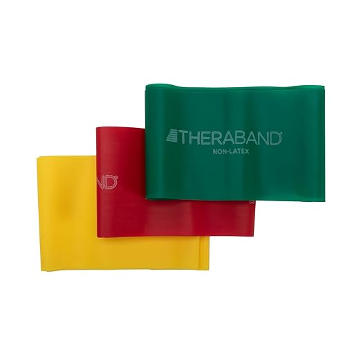 TheraBand Resistance Bands Set, Professional Non-Latex Elastic Band For Upper & Lower Body Exercise, Strength Training wit...