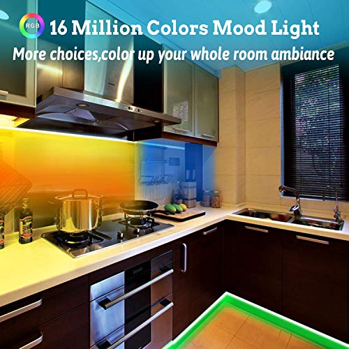 Tenmiro 65.6ft Led Strip Lights, Ultra Long RGB Color Changing LED Light Strips Kit with 44 Keys Ir Remote Led Lights for ...