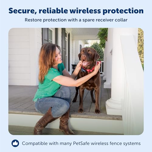 PetSafe Wireless Pet Containment System Receiver Collar - Battery-Operated & Waterproof - Adjustable Receiver Collar with ...