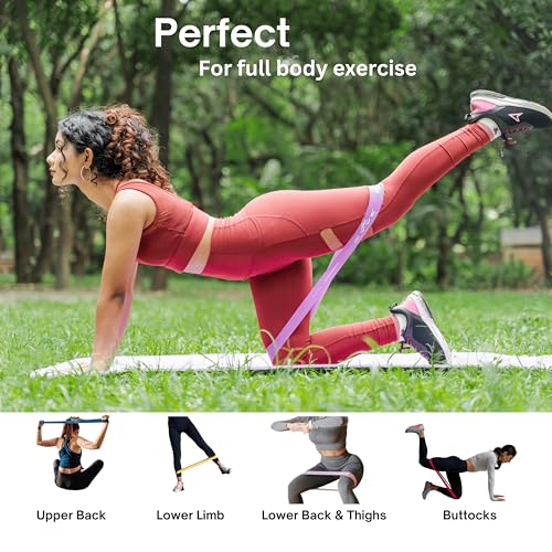 ZYVE Resistance Bands Set for Women & Men –12" Heavy Duty Natural Rubber Exercise Loop Bands for Legs, Glutes, Strength Tr...