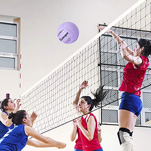 Runleaps Volleyball, Waterproof Indoor Outdoor Volleyball for Beach Game Gym Training (Official Size 5)