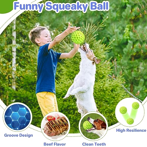 DISSKNIC Interactive Squeaky Dog Balls, Dog Toys for Aggressive Chewers Large Breed for Relieving Anxiety, Dogs Chew Toys ...