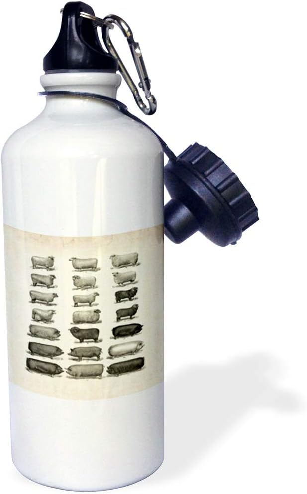 3dRose "vintage Pigs N Sheep Sports" Water Bottle, 21 oz, Natural