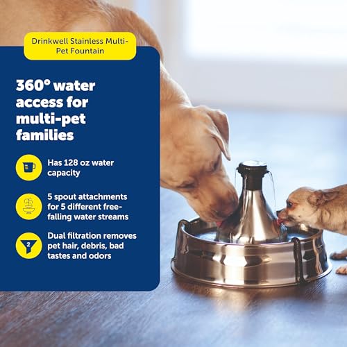 PetSafe Drinkwell Stainless Steel 360 Multiple Pet Fountain - Scratch and Rust Resistant Automatic Water Dispenser for Cat...