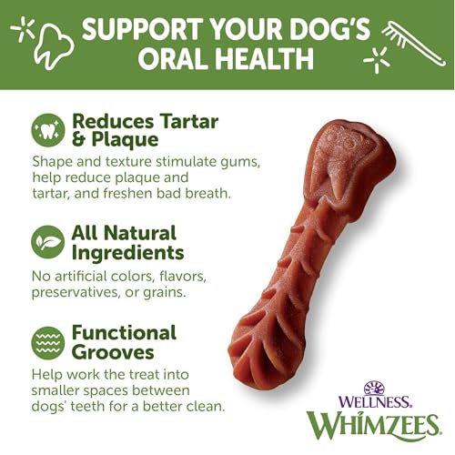 Whimzees Wellness Brushzees Dog Dental Treats, Small Size Stick, (24 Count)