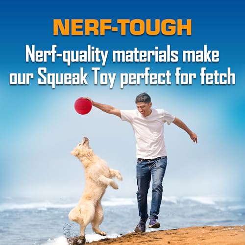 Nerf Dog Classic Squeak Ball Outdoor Dog Toy, 3.8 Inch Dog Ball Fetch Toy, Squeaking Toy for Medium and Large Breeds, Gree...