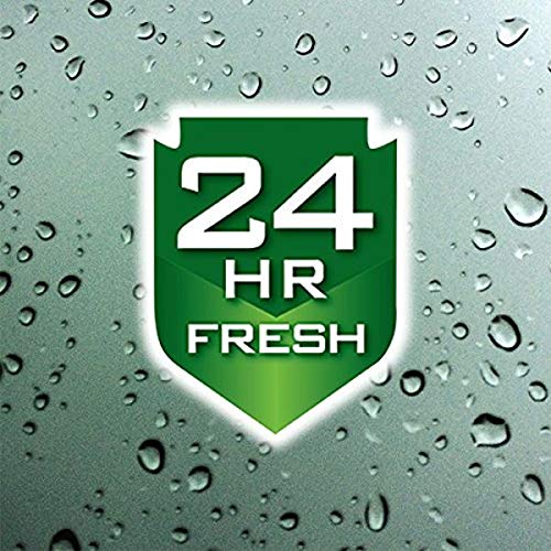 Irish Spring Men's Body Wash Pump, Original - 32 Fluid Ounce