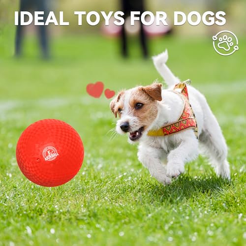 8.5 Inch Kickball Set, Dodgeballs 6 Pack,12 Pack,Playground Balls for Kids&Adults, Bouncy Balls Includes Pump and Storage ...