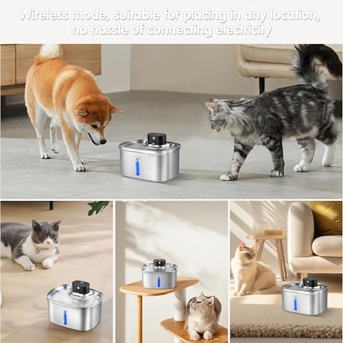 Wireless Cat Water Fountain Stainless Steel, 5L/169oz Automatic Pet Water Dispenser with 5000mAh Battery, 3 Modes (Sensor/...